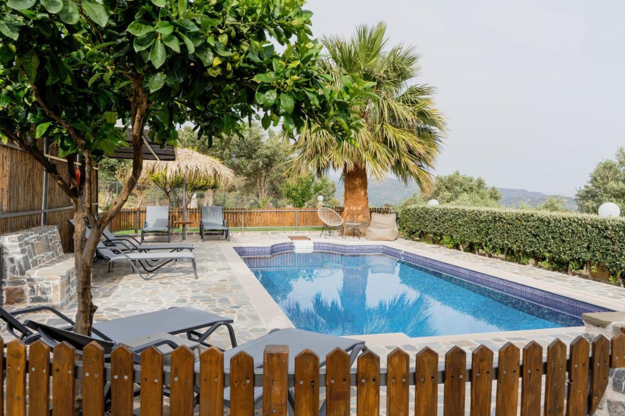 Dafni Villa A Place To Visit Orne Екстериор снимка